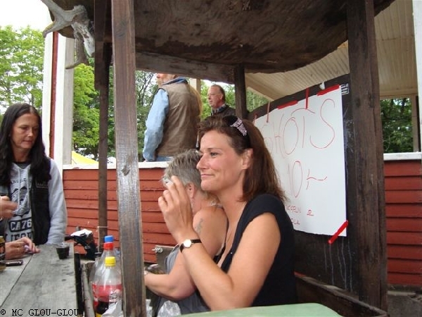 skandinavien 2010 20140115