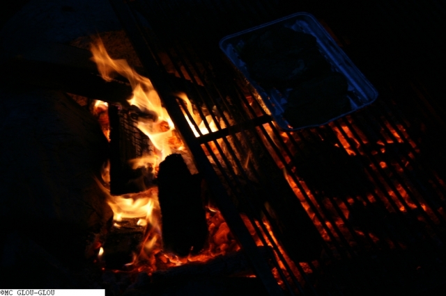 img 2177 20091230