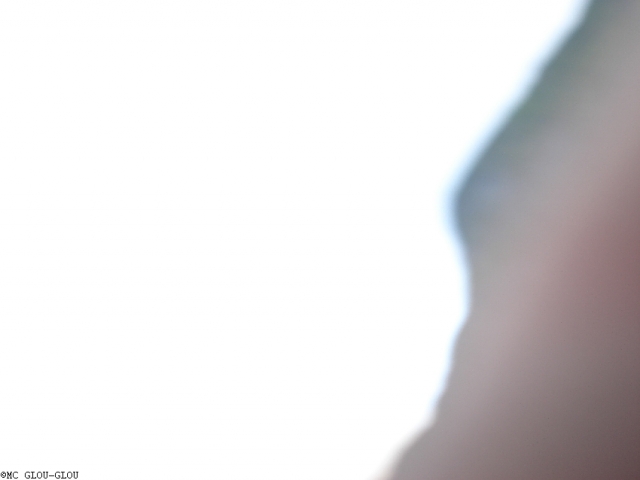 sommer08 20140115