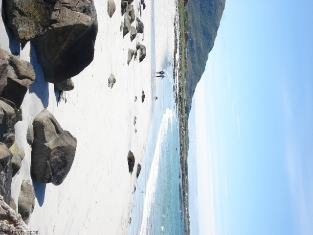 sommer08 20140115