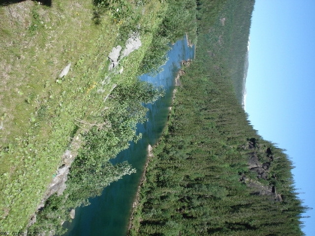 sommer08 20140115